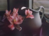 Still life #1